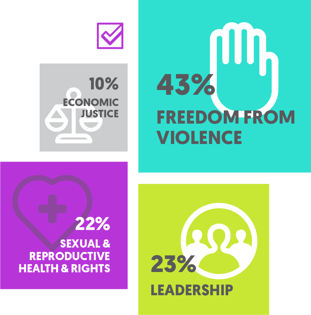 fy18-grantmaking-impact-areas